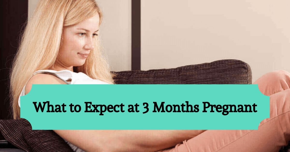 3 Months Pregnant Information