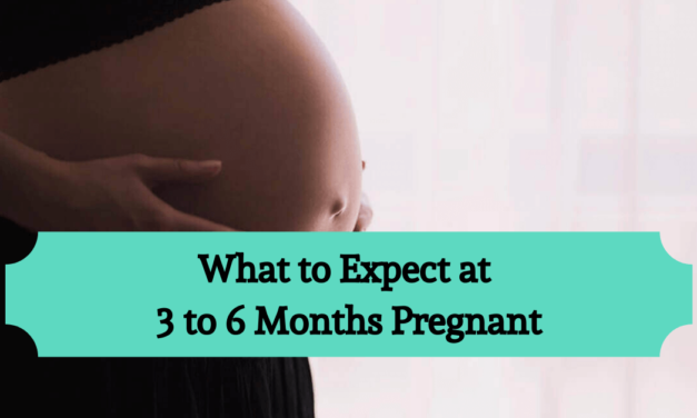 What to Expect at 3 to 6 Months Pregnant