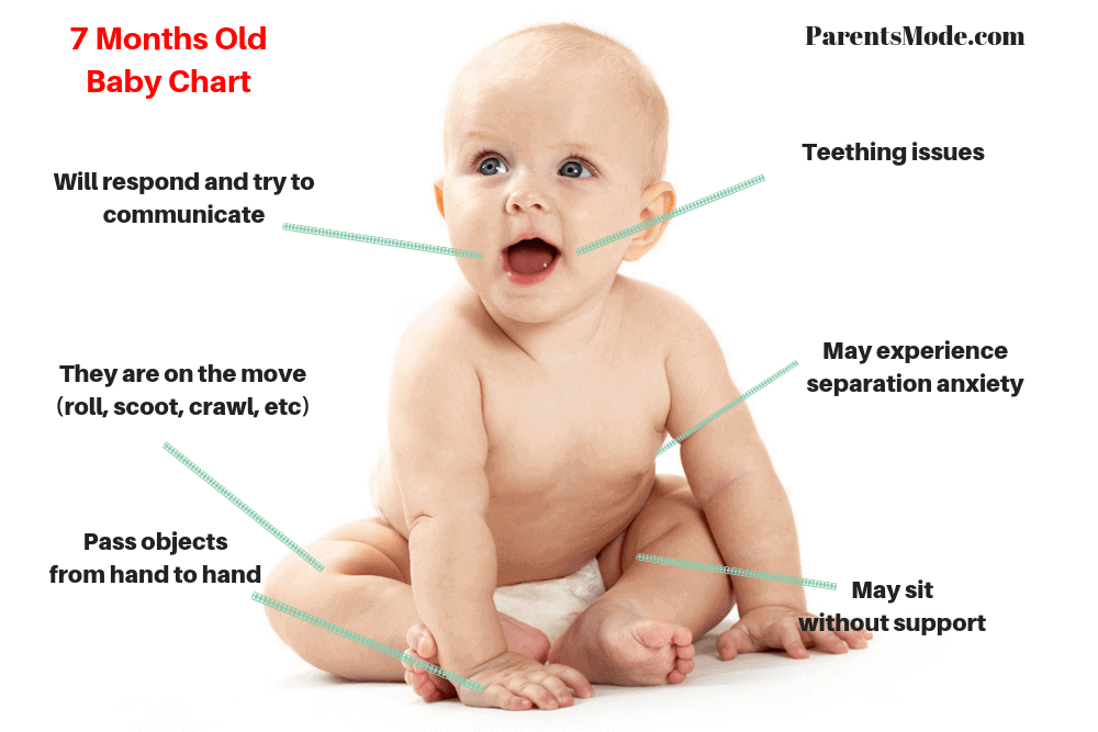 7 month baby milestones