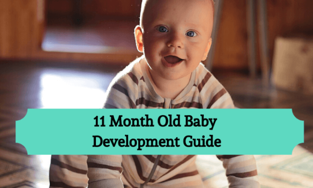 11 Month Old Baby Development: What You Should Know