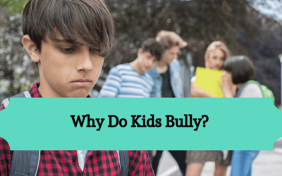 Why Do Kids Bully?